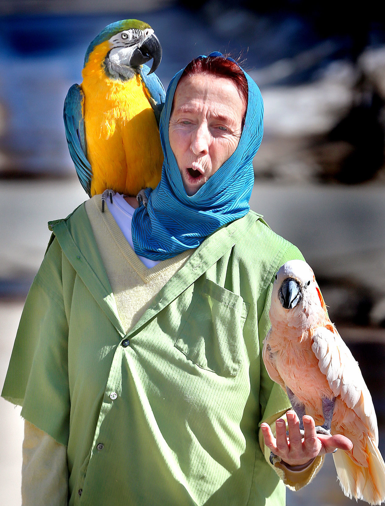 South Side birds